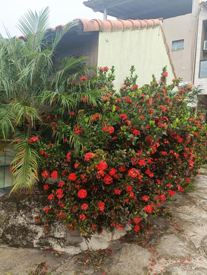 Inn Bon Vivant Cabo Frio