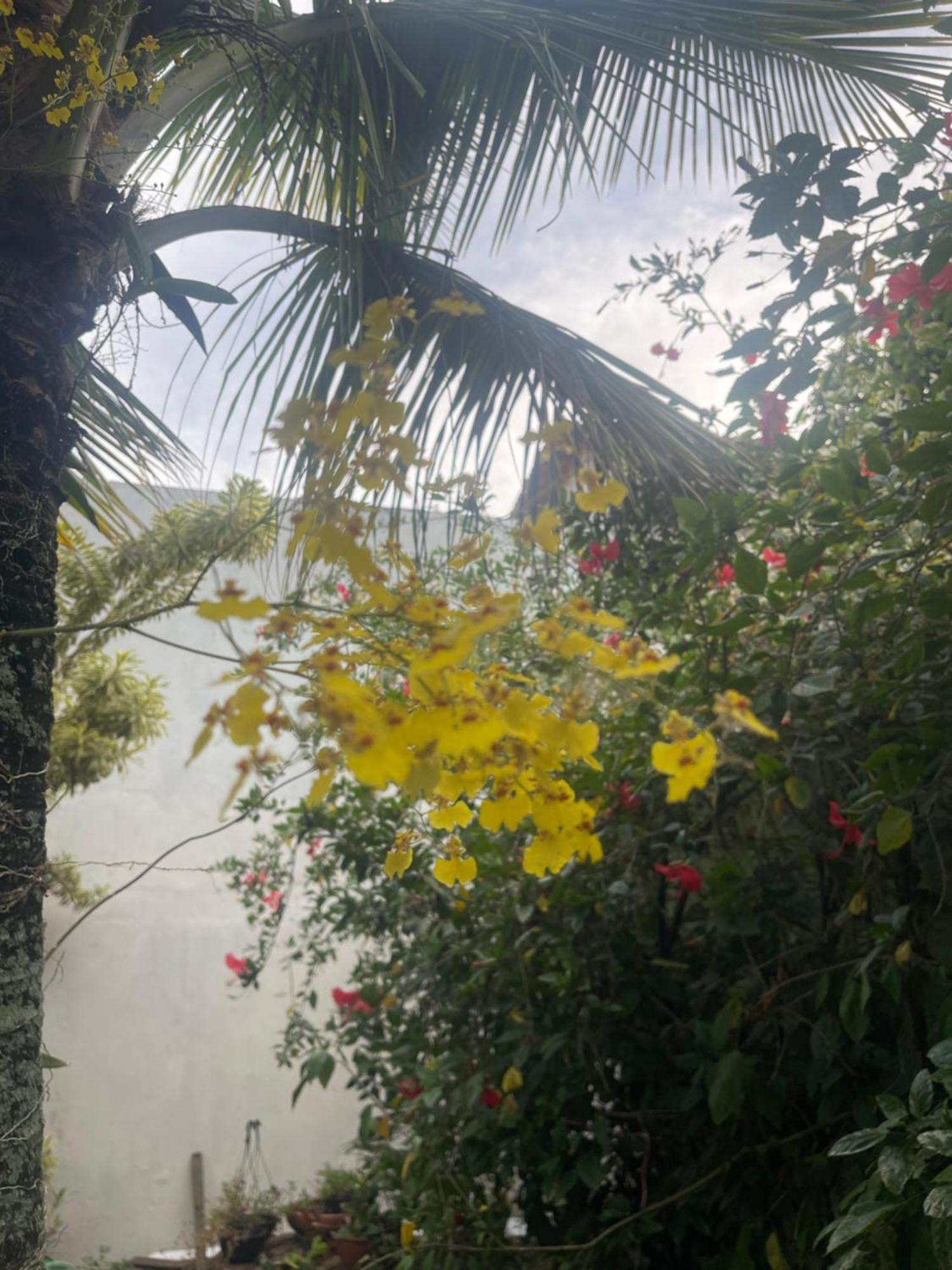Estalagem Bon Vivant Cabo Frio
